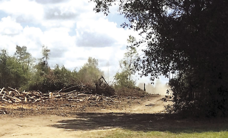 St. Matthews Road land cleared; property targeted for development, details not finalized
